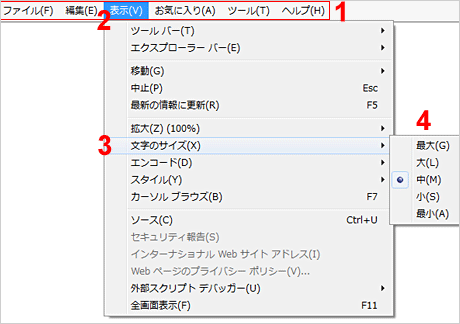 Internet Explorer（文字サイズだけを変更する）